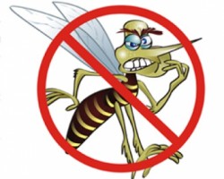 TURVO REALIZA SEMANA DE COMBATE A DENGUE