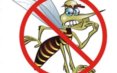 TURVO REALIZA SEMANA DE COMBATE A DENGUE