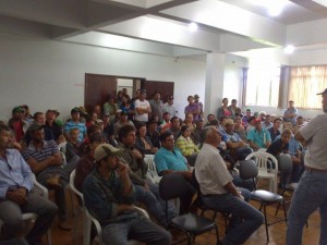 produtores