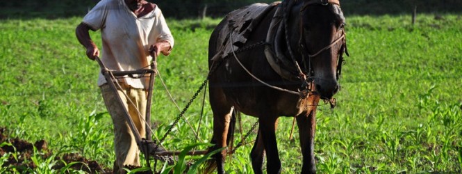 APOSENTADORIA DE AGRICULTORES FAMILIARES NÃO TERÁ ALTERAÇÃO COM AJUSTES DO GOVERNO