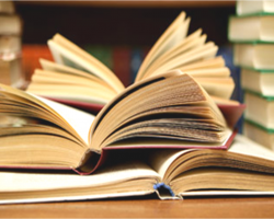 CÂMARA MUNICIPAL DISPONIBILIZA LIVROS PARA CONSULTA E LEITURA DA POPULAÇÃO TURVENSE