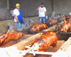 NESTE DOMINGO TURVO TEM 12ª FESTA DO PORCO NO ROLETE